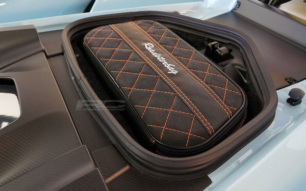 Roadsterbag Koffer für Ford GT [162]